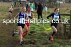 Junior Womens 2024 Northern Cross Country Champs., Sedgefield. Photo: David T. Hewitson/Sports for All Pics